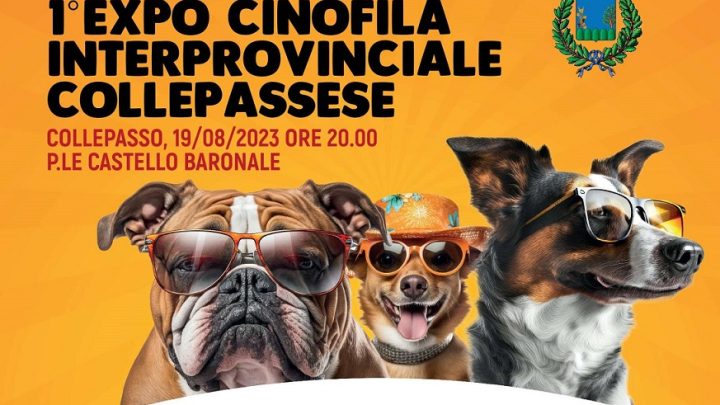 “1^ Expo Cinofila interprovinciale collepassese” (19 agosto, ore 20, Palazzo Baronale)