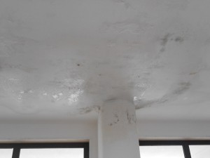 Particolare del soffitto imbevuto d'acqua e gocciolante