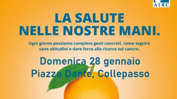 “Le Arance della Salute”: domenica 28 gennaio, volontari AIRC in piazza Dante per raccogliere fondi in favore della ricerca sul cancro