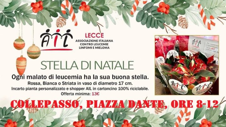 Gazebo in piazza Dante con le Stelle di Natale dell’Associazione Italiana contro le Leucemie (10 dicembre, ore 8-12)