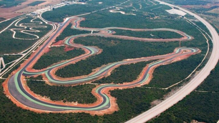 “Ancora a rischio la foresta dell’Arneo”: il 20 novembre a Lecce conferenza stampa di Italia Nostra