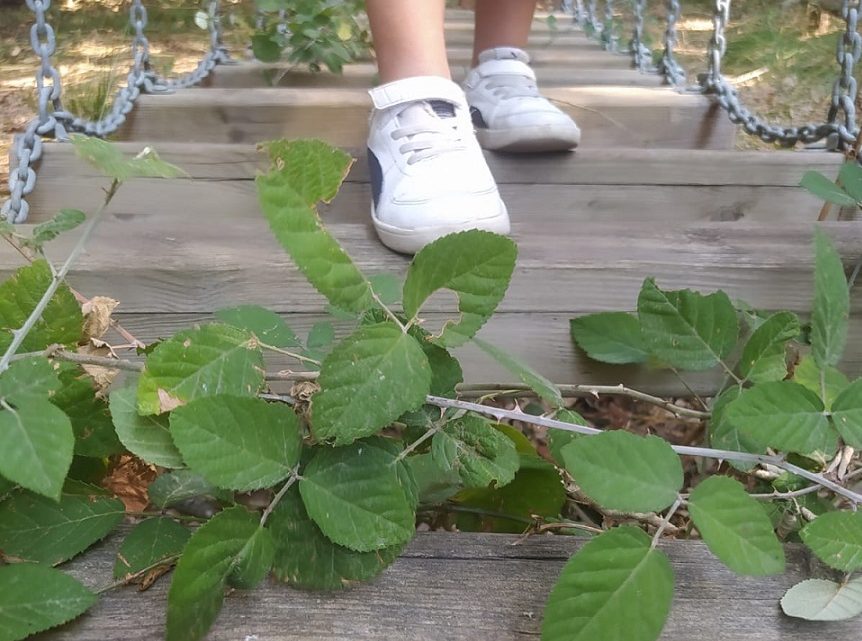 “Non è un gioco da ragazzi”… una foto che, scrive un cittadino, “racchiude la vera essenza di questa amministrazione”