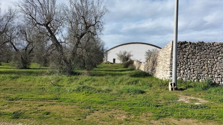 Impianto fotovoltaico “San Sumà”: l’annunciato scempio di un’area, le 5-600 pensiline previste per parcheggi ed altro