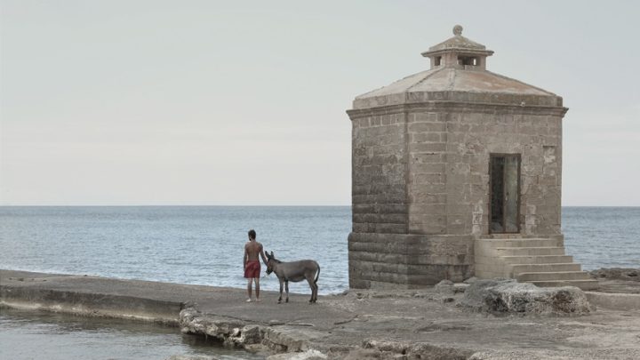 “Asini dotti” del salentino Marcello Moscara al 35° Salone Internazionale del libro di Torino (20 maggio, ore 18.30, stand Regione Puglia)