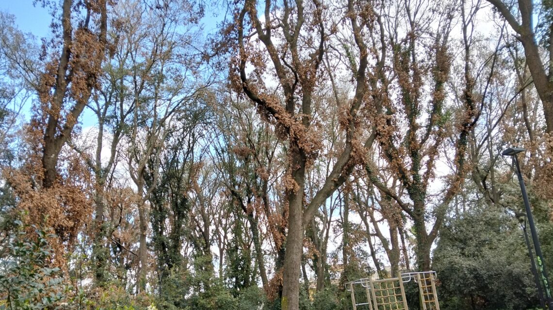 Quattro associazioni sottoscrivono un “protocollo d’intesa per la difesa dell’ambiente e del territorio”: un’iniziativa positiva dopo anni di silenzi