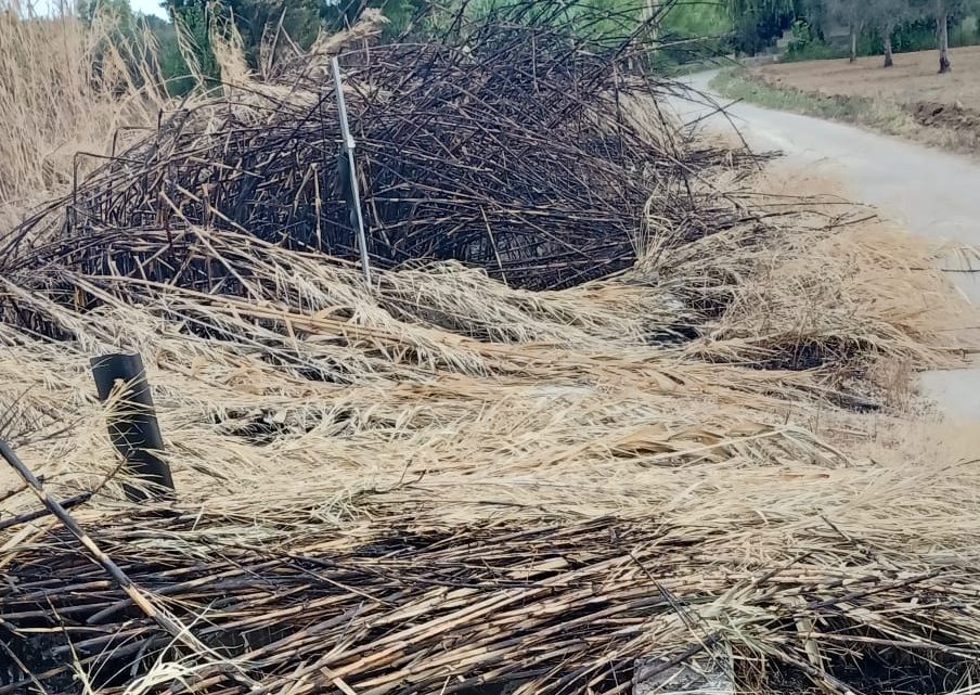 La “foto del giorno”: a proposito di Consorzio di Bonifica…