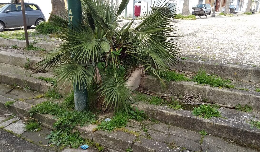 La “foto del giorno”: la sempreverde “villetta degli innamorati”